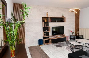 Central appartment